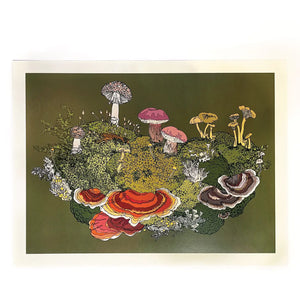 Wild Life Illustration Co. "Forest Fungi" 12x16 Print