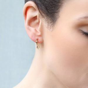 Silk Purse, Sow's Ear "Rainbow" Earrings