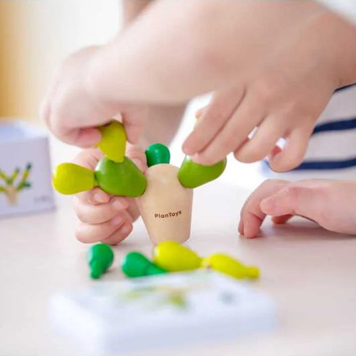 Plan Toys | Mini Balancing Cactus – Bough and Antler Northwest Goods