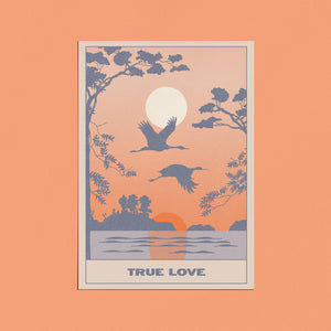 Cai & Jo | "True Love" Card