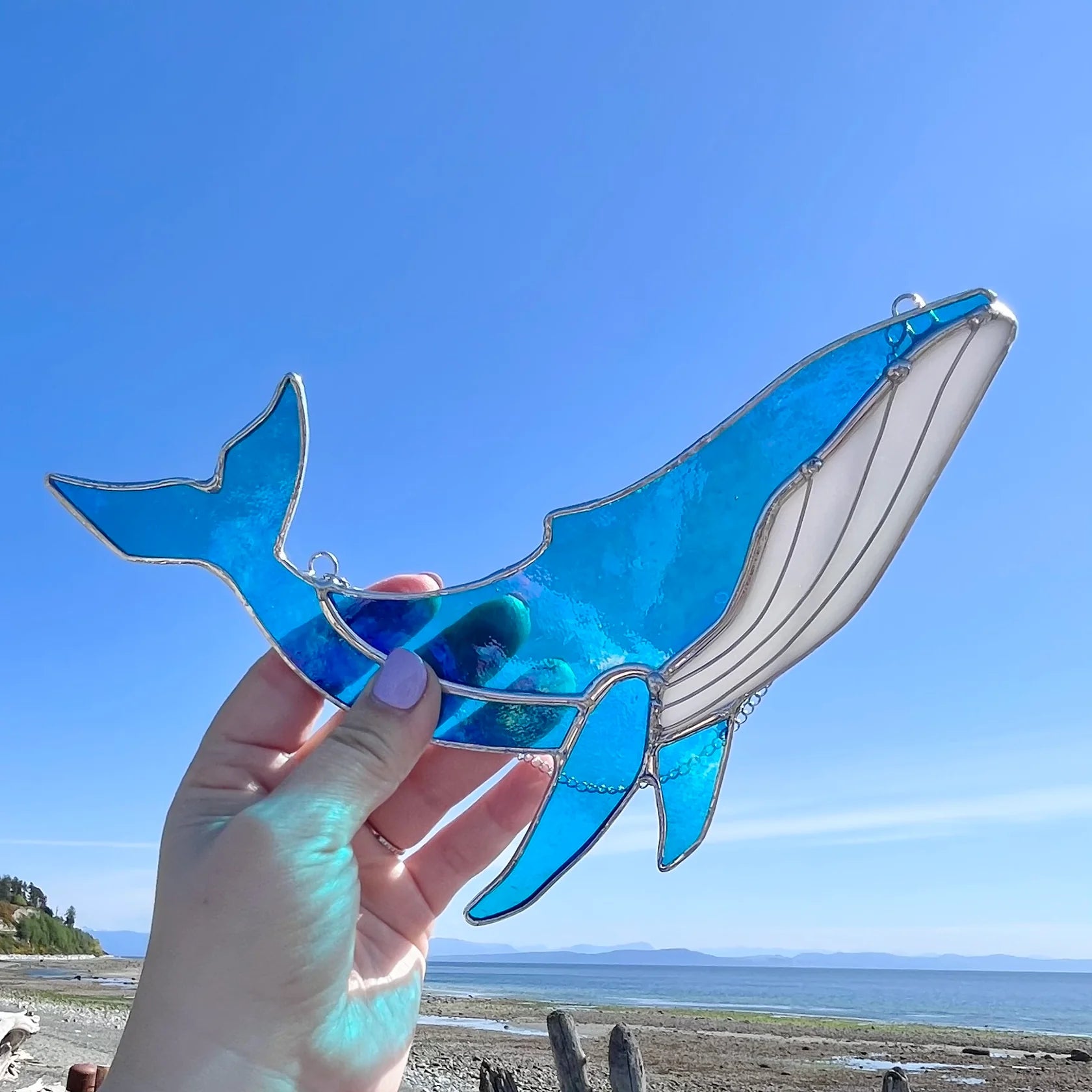 Half Moon Glass | Humpback Stained Glass Suncatcher