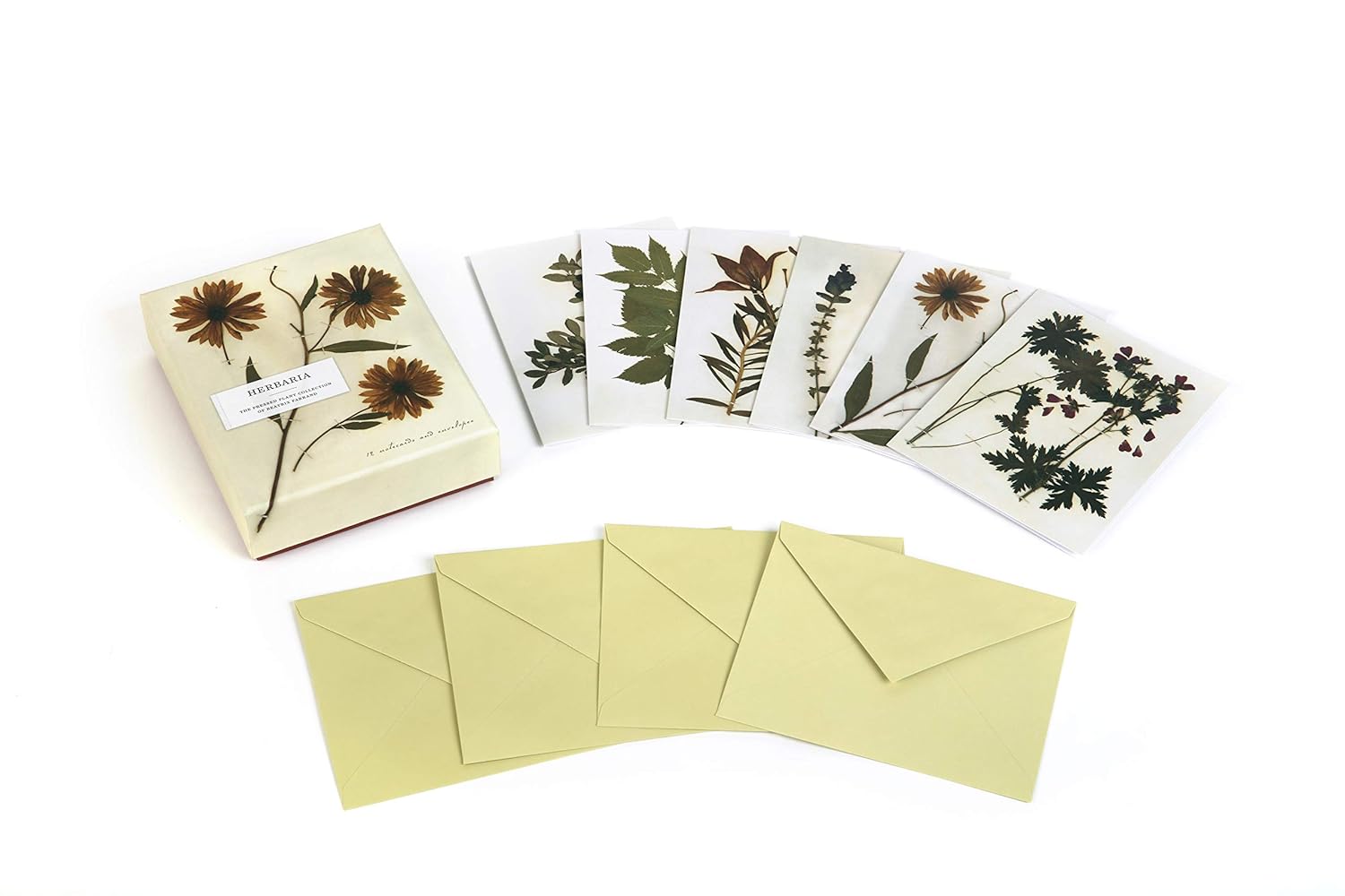 Herbaria: The Pressed Plant Collection | Notecards