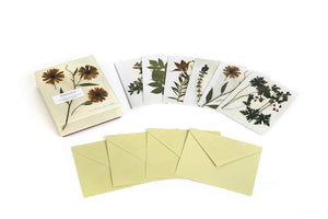 Herbaria: The Pressed Plant Collection | Notecards