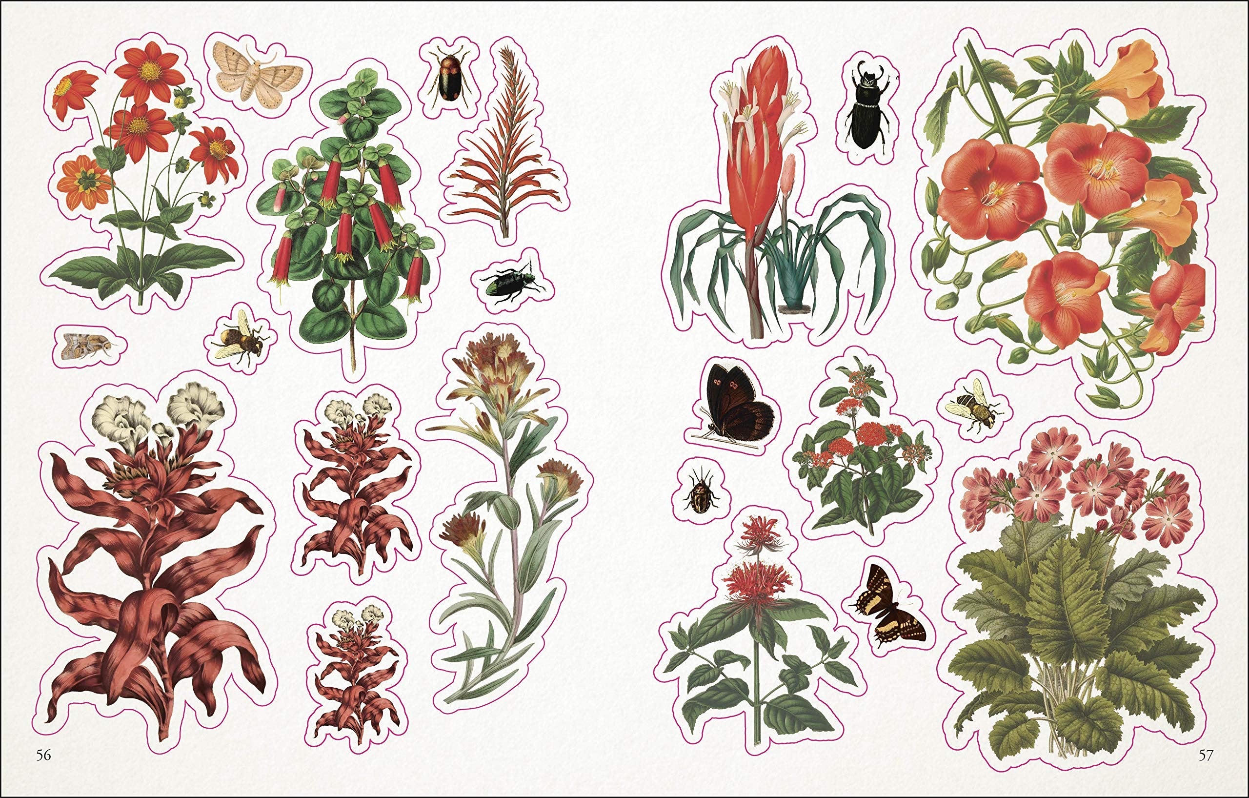 Sticker Anthology book collection