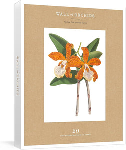 Wall of Orchids - 20 Botanical Prints to Frame