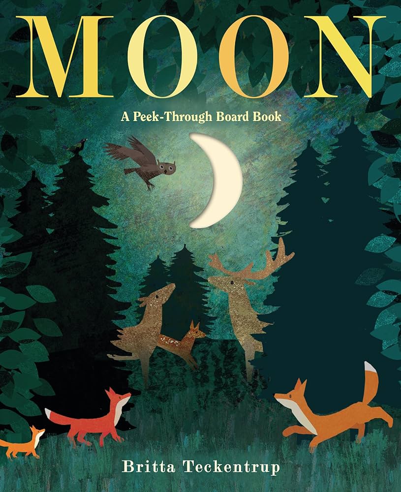 Moon: A Peak Through Adventure Board Book