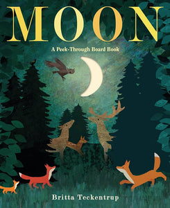 Moon: A Peak Through Adventure Board Book
