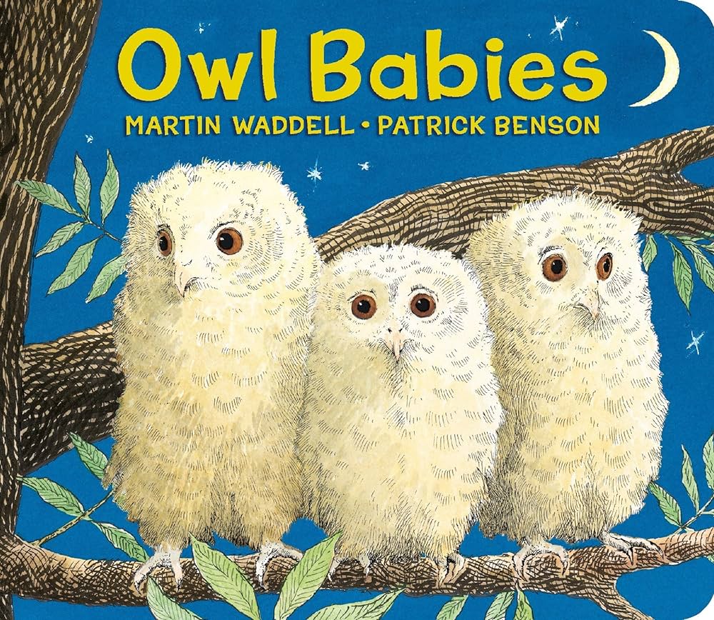 Owl Babies Board Book