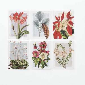 Winter Botanicals Notecard Set