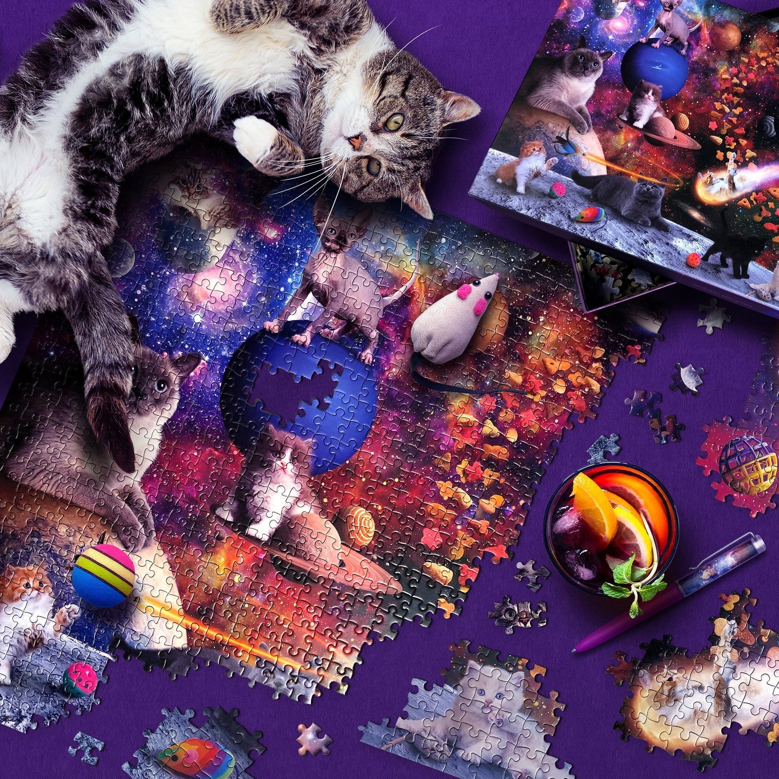 Fred | Galaxy Cats Puzzle