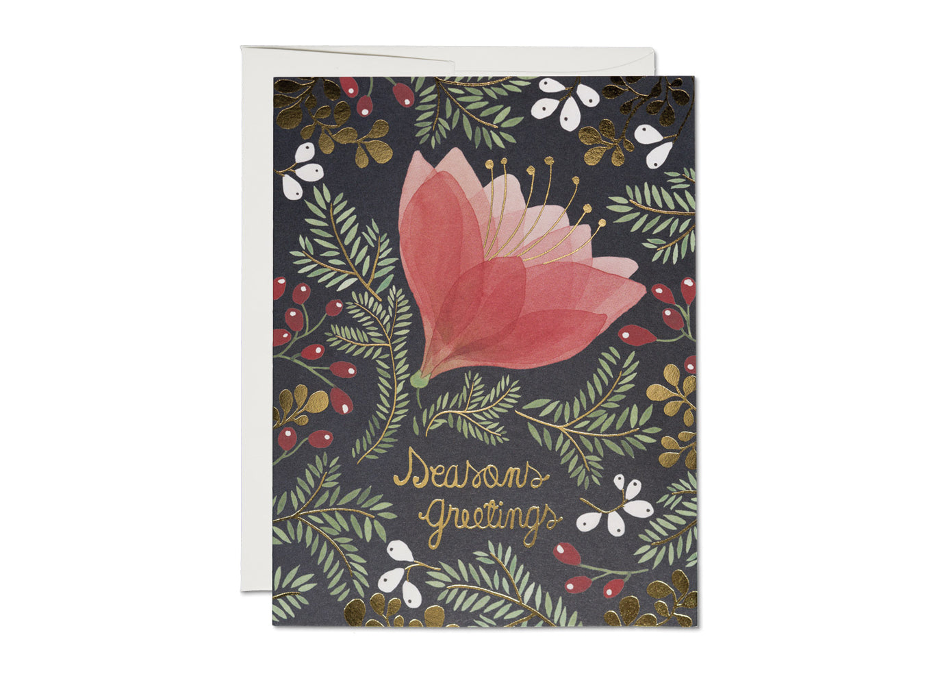 Red Cap Cards “Seasons Greetings” Amaryllis Card