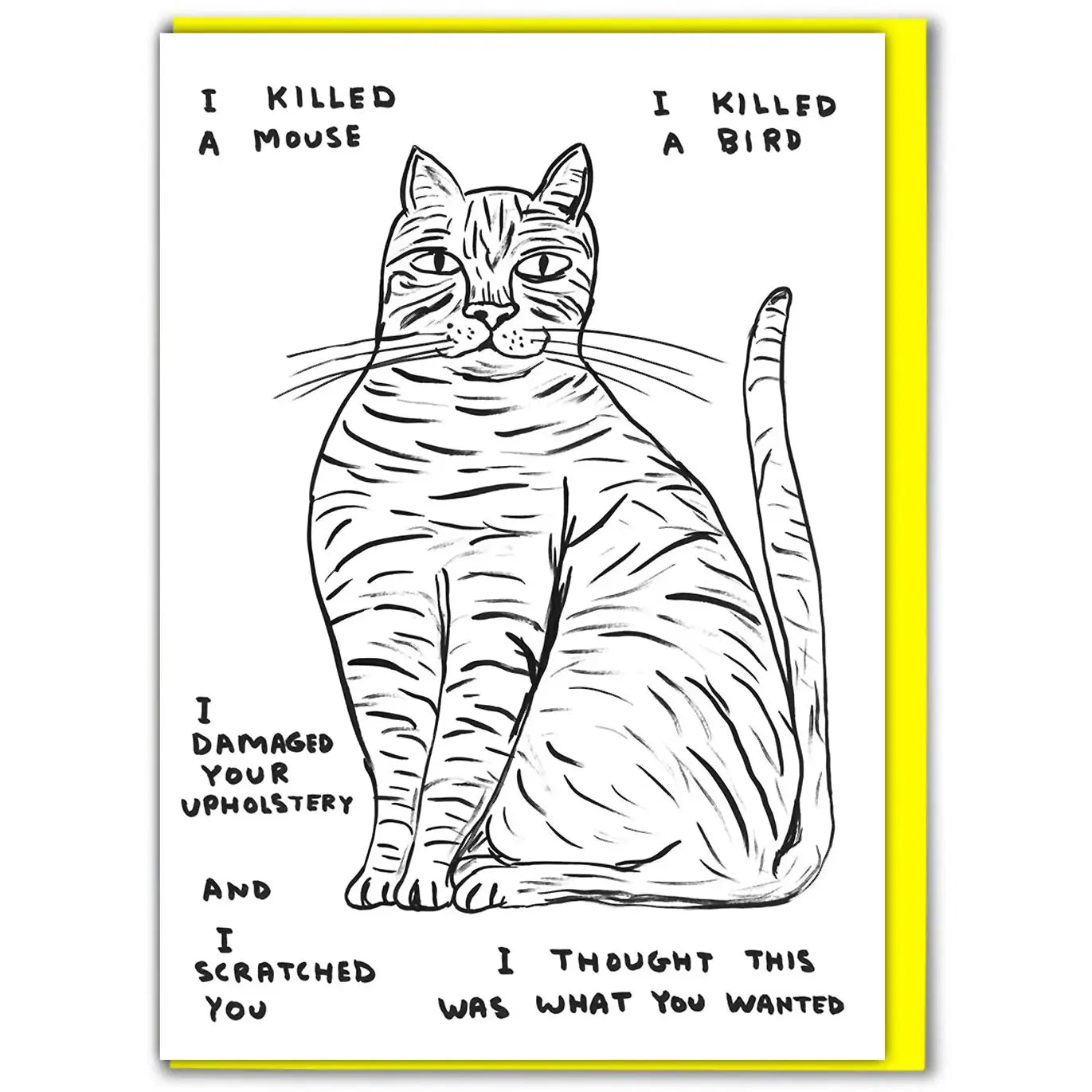 David Shrigley “I Thought This Was What You Wanted” Card