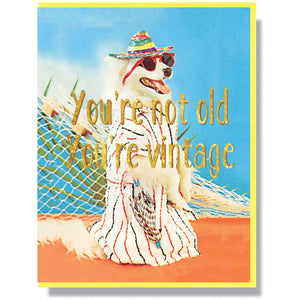 Smitten Kitten “You’re Not Old You’re Vintage” Card