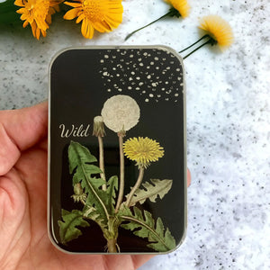 Firefly Notes Storage Tin | Large