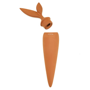 Kikkerland | Terracotta Watering Stake