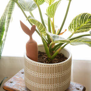 Kikkerland | Terracotta Watering Stake