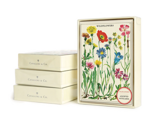 Cavallini “Wildflowers” Notecard Set