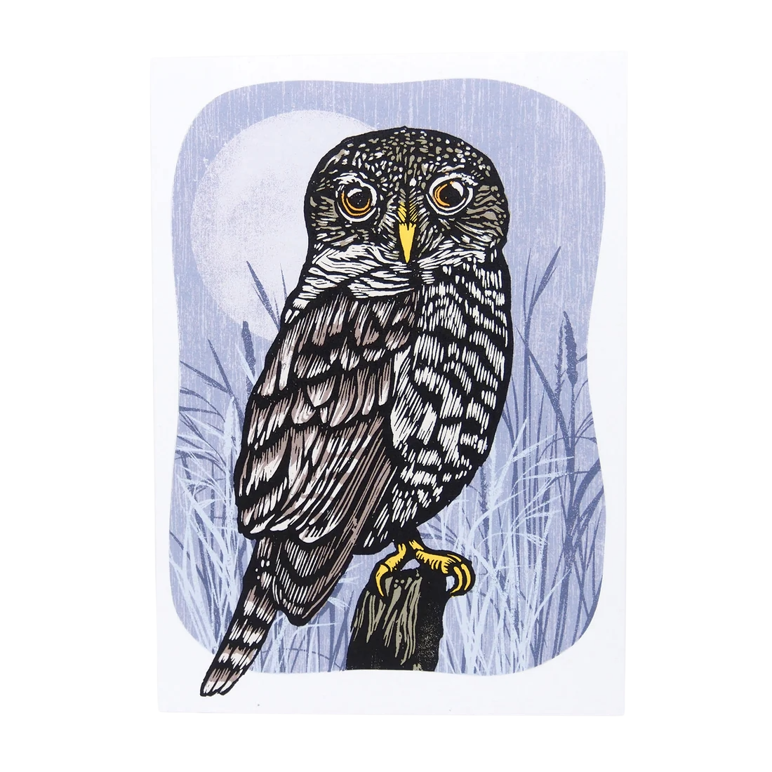 Hawk & Rose Press | "The Night Owl" Card
