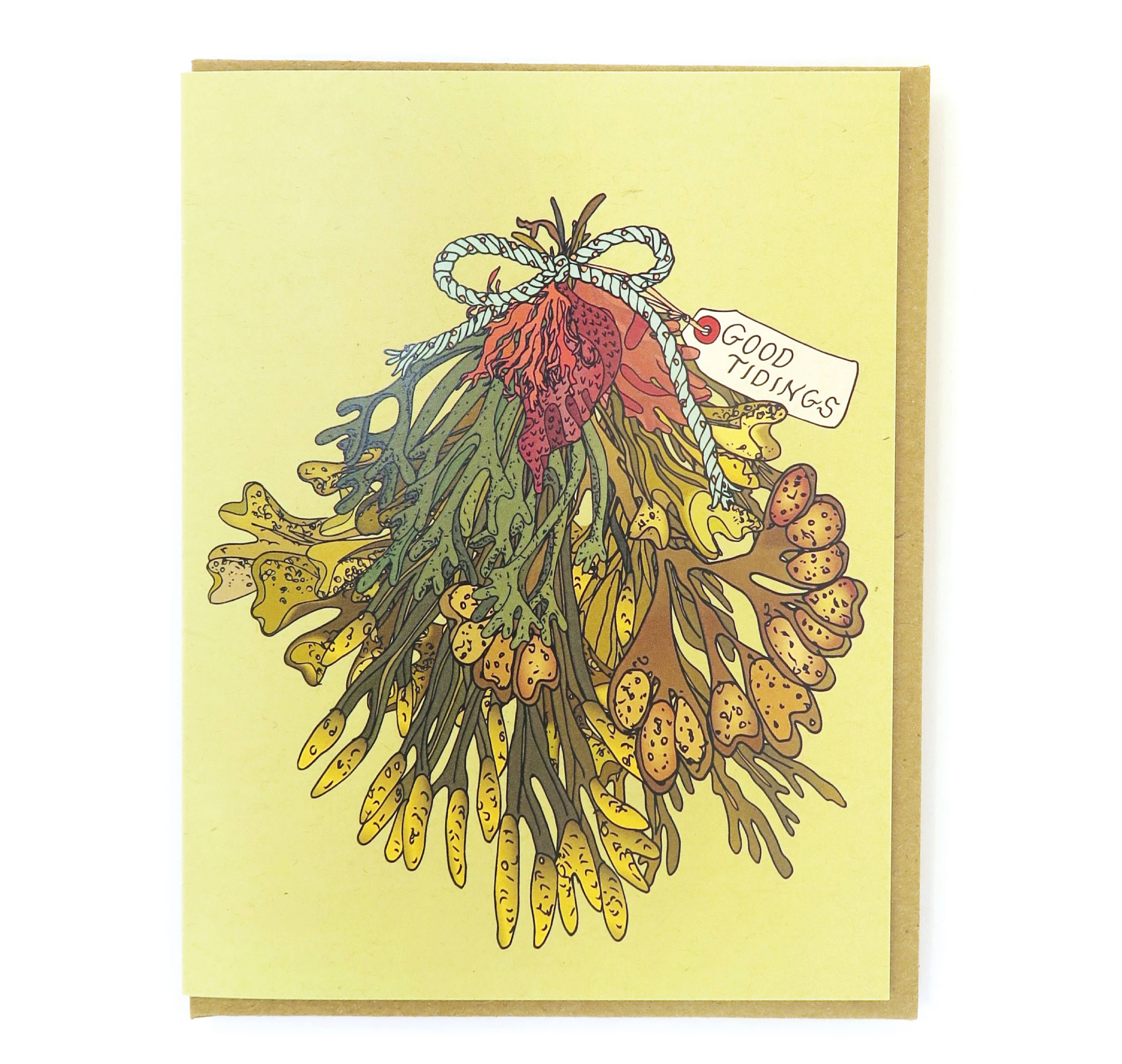 Wild Life Illustration Co. | "Coastal Kelp Mistletoe" Card