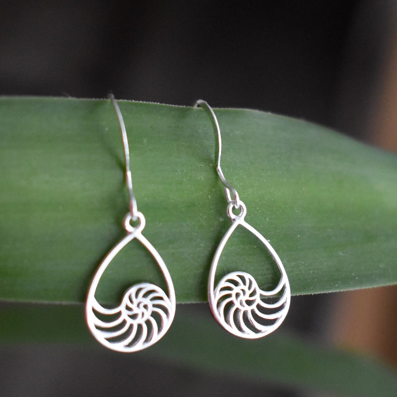 Whitelotus Design | Silver Nautilus Earrings