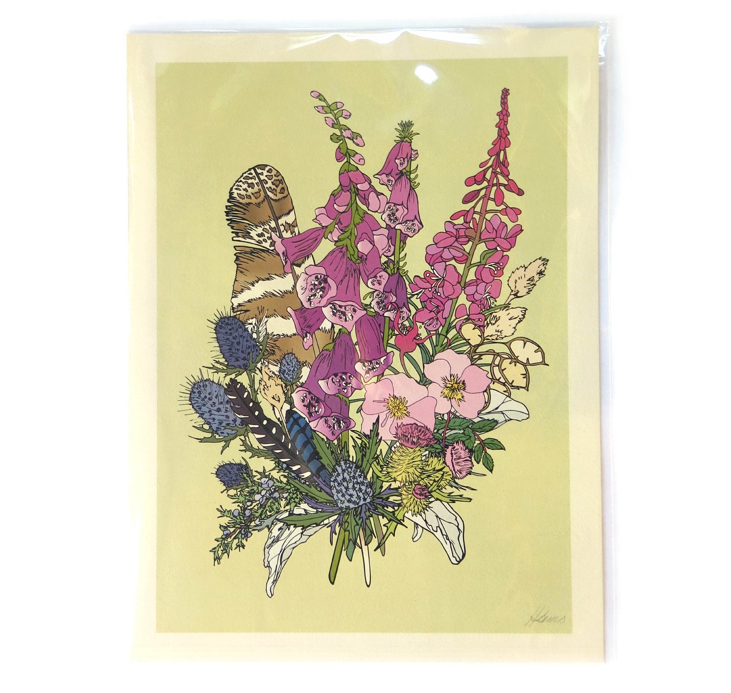 Wild Life Illustration Co. "Foxglove & Feather" 12x16 Print