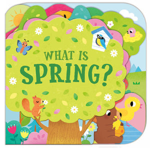 What is Spring? | by Sonali Fry