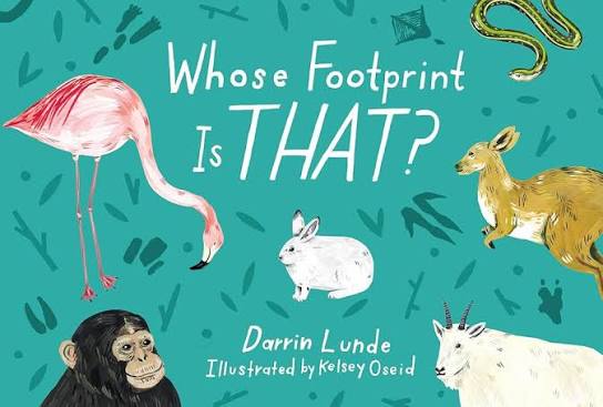 Whose Footprint is That | Board Book