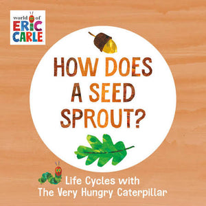 How Does a Seed Sprout | Board Book
