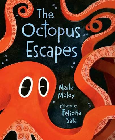 The Octopus Escapes | Board Book