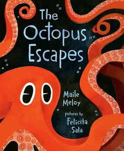 The Octopus Escapes | Board Book