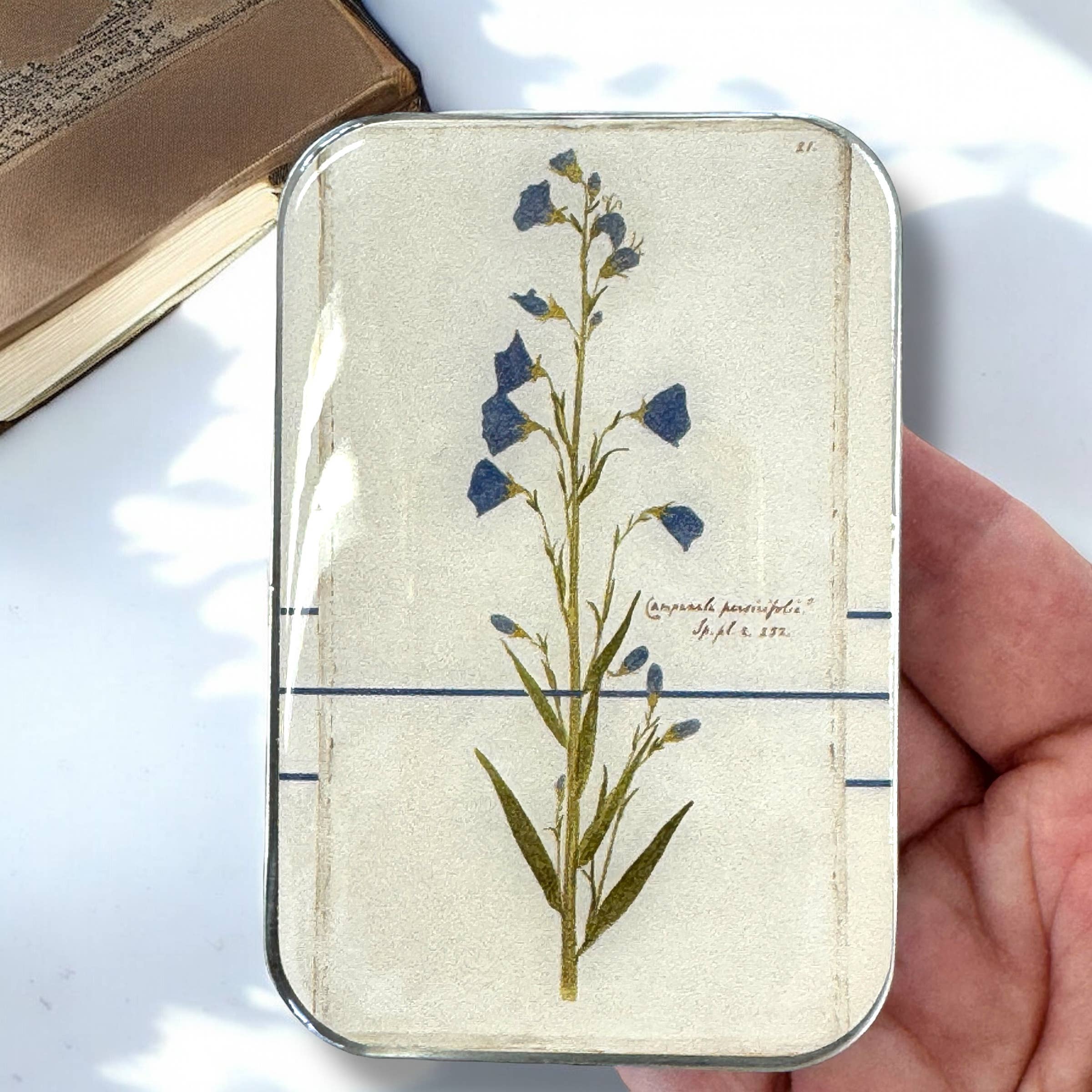Firefly Notes | Large Storage Tin