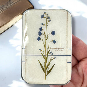 Firefly Notes | Large Storage Tin