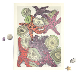 Wild Life Illustration Co. "Starfish" 12x16 Print