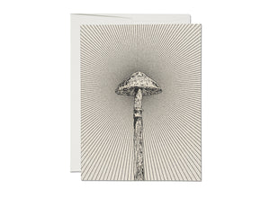 Red Cap Cards | Mushroom Card Bough and Antler Northwest Goods Red Cap Cards | Mushroom Card Bough and Antler Northwest Goods