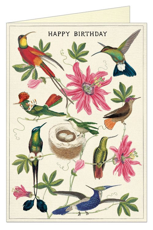 Cavallini "Hummingbirds" Birthday Card