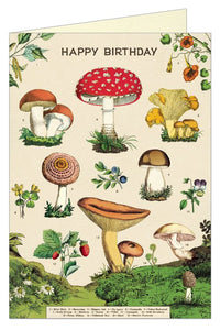 Cavallini "Mushrooms" Birthday Card