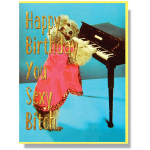 Smitten Kitten “Happy Birthday You Sexy Bitch” Card